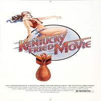 Kentucky Fried Movie Movie Poster Reprint 27inx40in za bilo koji sobni kvadratni odrasli Najbolji posteri