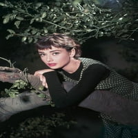 Audrey Hepburn u Sabrini pozira u drveću lijepi poster boja