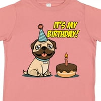 Inktastic To je moj rođendanski poklon dječaka malih majica ili majica mališana