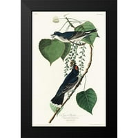 Audubon, John James Crni Moderni uokvireni muzej umjetnički print pod nazivom - Tiranin mahač