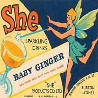Baby Ginger- Fine Art Platno Ispis