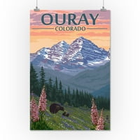 Ouray, Kolorado, medvjed i proljetno cvijeće
