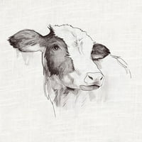 Print za crtanje kravlje tinte - bijelo ljestvica