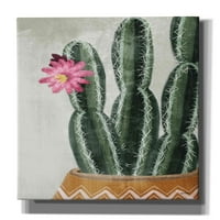 Epic grafiti 'cvjetni kaktus' by House Fenway, platna Zidna umjetnost, 12 x18