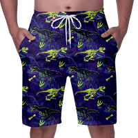 Dječaci i muški kratke hlače Dinosaurske kratke hlače za muškarce, plaže kratke hlače za muškarce Ljeto Flowy Shorts Hawaii 3D Swim trunks Brze suhog kupanja za muškarce Swim kratke hlače Muškarci Summer Hotsas, Odrasli-3xl