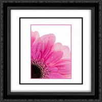 Pink daisy latice matted crne ukrade uramljene umjetničke otiske Murdock, Ramona