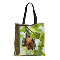 Platnena torba mogući tote namirnica Trgovinske vrećice Smeđi voćni palic visi na drvetu u šumi Lyle