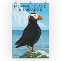 Newfoundland i Labrador, Puffin na rock sceni