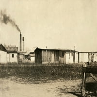 Kućište od repe, 1915. NVIEW OF 'DUNGLE' stambenog odeljenja za radnike repe u Fort Collins, Kolorado.