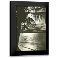 Divlji jabučni portfelj crni moderni uokvireni muzej umjetnički print pod nazivom - Palm Beach II