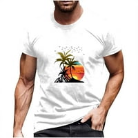 Majica za muškarce 3D kokosova stabla Print Ljeto plaža Bluzes Tees Kratki rukav Crew vrat na vrhu Havajske