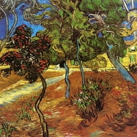 Drvo u vrtu St Paul bolnički poster Print Vincent Van Gogh