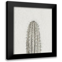 Otoole, Tim crni moderni uokvireni muzej umjetnički print pod nazivom - Studija o kaktusima III