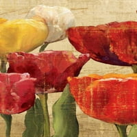 Tulip Fantasy na kremu III Poster Print autor Marilyn Hageman