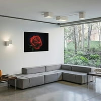 Rose Violet Carson uokvirena platna zidna umjetnost, horizontalna verzija Moderni kućni dekor, spreman