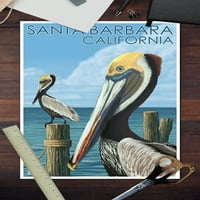 Santa Barbara, Kalifornija, Pelikan