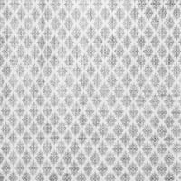 Ahgly Company Zatvoreni pravokutnik Trellis siva moderna područja tepiha, 2 '5'