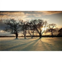 Northumberland England - Sunce za podešavanje polja i stabla Poster Print, 24
