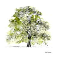 Drvo sa zelenim listovima II poster Ispis Lanie Loreth