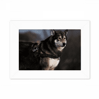Pas Husky Animal Lonely Night Fotografija Mount Frame Slika umjetno slikarska radna površina