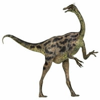 Gallimimus bio je svevorni dinosaur koji je živio u Mongoliji tokom krednog perioda