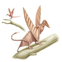 Pterandon, ilustracija Poster Ispis Spencer Sutton Science izvor