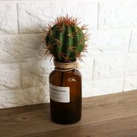 Umjetne sočne biljke lažni kaktus nepotjudni simulirani kaktusni sukulisni biljke za kućni ukrasi ureda