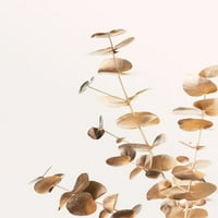 Eucalyptus Gold Ne by Artographie Studio