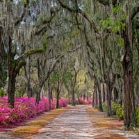 Seoski put sa Azalejskom i živim hrastovim oblogom Roadway-Bonaventure Cemetery-Savannah-Georgia Poster