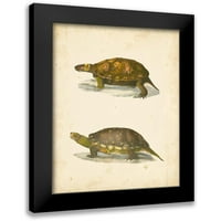 Hill, J.w. Crni moderni uokvireni muzej umjetnički print pod nazivom - Turtle Duo I