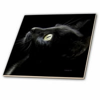 3drose crno mačka lica - keramička pločica