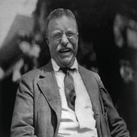 Istorija Theodore Roosevelt