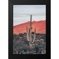 Larson, Nathan crni moderni uokvireni muzej umjetnički print pod nazivom - zalasci sunca i Saguaros