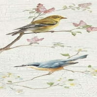 Vintage ptica ploča i poster Print Danhui Nai