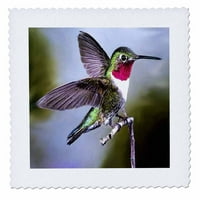 Hummingbird, Trg ptica quilt QS-960-1