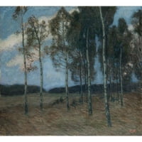 Ester almqvist crni moderni uokvireni muzej umjetnički print pod nazivom - breza Grove nakon zalaska
