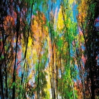 Jeseni drveće u šumi, Ontario, Kanada Poster Print panoramskim slikama