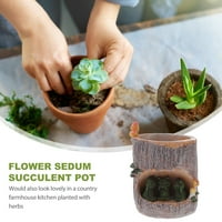 Zeleni cvjetni Sedum Soctufent Pot plant Bonsai Kough Bo biljni krevet ured Početna Garden Pot dekor