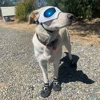 Pas sunčane naočale za malene srednje velike pasmine psi UV zaštitne naočale za snijeg za duge pse s