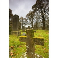 Moss prekriveni nadgrobni spomenici - Argyl & Bute Scotland UK Poster Print, Veliki - 34
