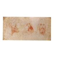 Leonardo da Vinci Poster Print