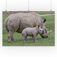 Bijeli nosorog i beba - FASTRENT PRESS fotografija
