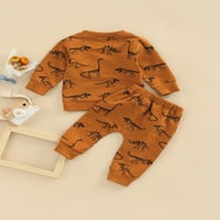 Newbornorođene dječake patchwork odijelo, primitivni dinosauri ispisa pulover s dugim rukavima + bočni džepovi pantalone