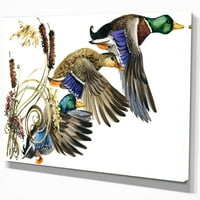 Tri leteće patke u obojenoj ilustraciji 'Seoska kuća životinja za slikanje na umotano platno - bijelo