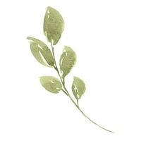 Ploča od akvarela za ružu od listova - svijetlo zelena