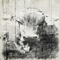 Vintage kravljeg mateskog plakata Print Jace Grey