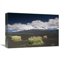 u. Pampas travnata ostrva u staroj lavi, Llaima vulkan, Conguillio NP, Čile Art Print - Gerry Ellis