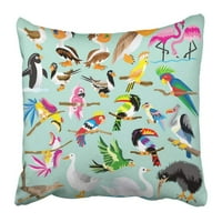 Šarene vrste ptica ptica Jungle Cockatoo Roadrunner Pelican Tropical Flamingo Kiwi jastučni jastučni jastuk
