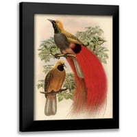 Reynolds, Alastair Black Moderni UKLJUČINI MUZEJ UMJETNOST PRINT pod nazivom - Scarlet ptica raja