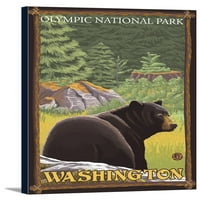 Olimpijski nacionalni park, Washington - crni medvjed u šumi - umjetničko djelo za novinare fenjera